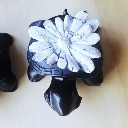 Chrysanthemum Stone | Turtles