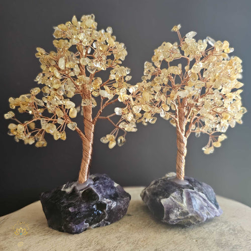 Citrine Crystal Tree | Abundance & Insight