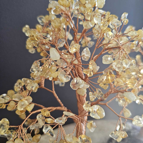 Citrine Crystal Tree | Abundance & Insight