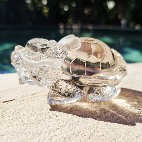 Citrine Dragon Turtle | Dragon Of The Divine