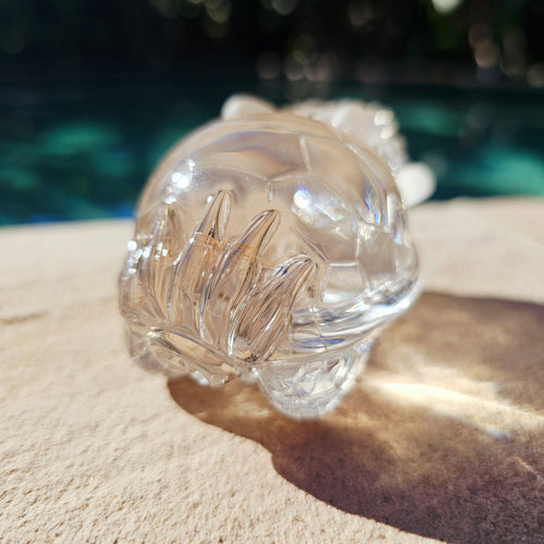 Citrine Dragon Turtle | Dragon Of The Divine