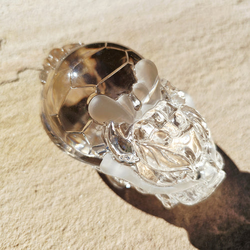 Citrine Dragon Turtle | Dragon Of The Divine