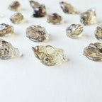 Citrine Money Toad - A Grade | The Wealth Keepers
