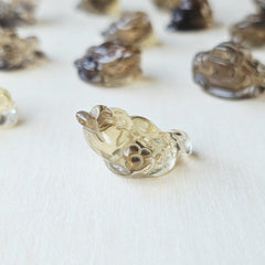 Citrine Money Toad - A Grade | The Wealth Keepers