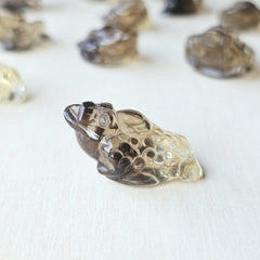 Citrine Money Toad - A Grade | The Wealth Keepers