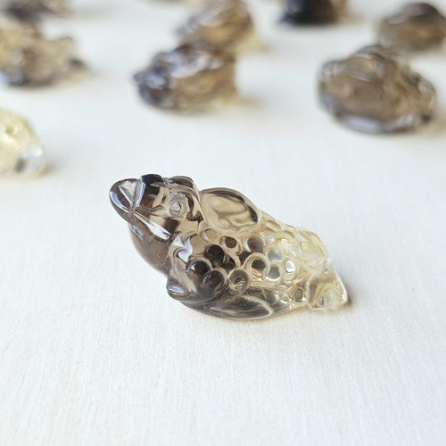 Citrine Money Toad - A Grade | The Wealth Keepers