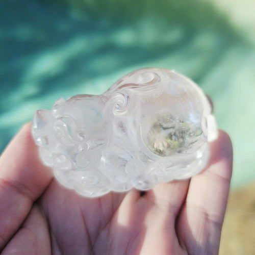 Clear Quartz Pixiu | Rainbow Warrior