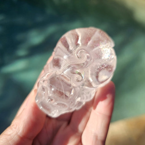 Clear Quartz Pixiu | Rainbow Warrior
