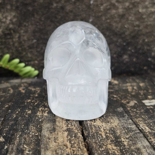 Clear Quartz Skull | Guardian of Light 333gms