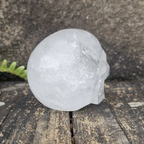 Clear Quartz Skull | Guardian of Transparency 447gms