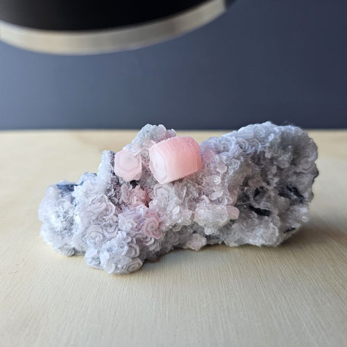 Coin Calcite and Quartz Specimen | Invest In Clarity. Collect In Light.