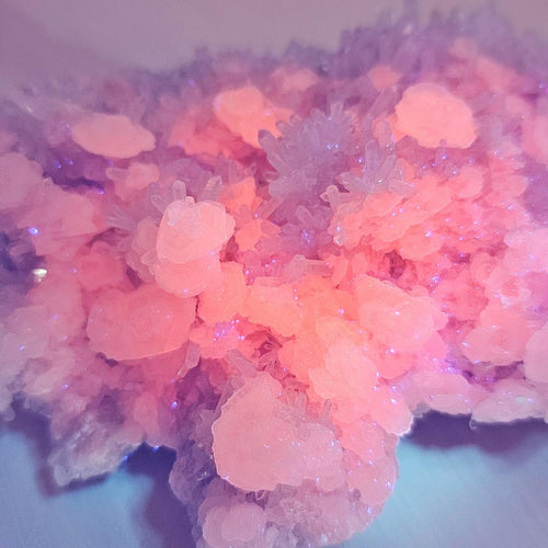 Coin Calcite and Quartz Specimen | Stacked Intention