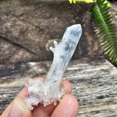 Columbian Quartz Cluster | Blue Rutile Sprays Of Light