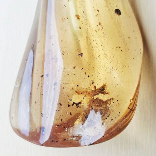 Copal Amber Specimen | Amber Continuum