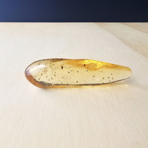 Copal Amber Specimen | Copal Sequence
