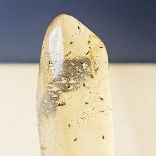 Copal Amber Specimen | Copal Sequence