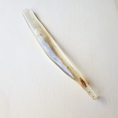 Copal Amber Specimen | Eternal Preservation