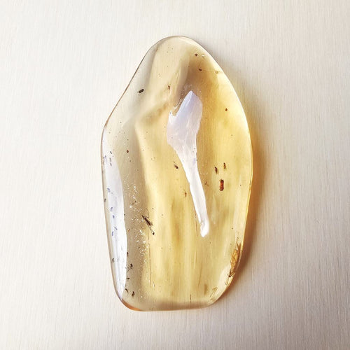 Copal Amber Specimen | Golden Epoch