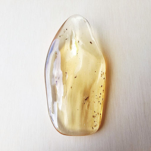 Copal Amber Specimen | Golden Epoch