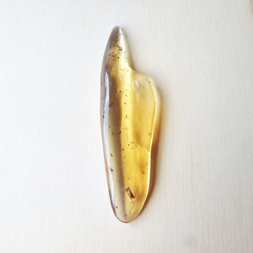 Copal Amber Specimen | Golden Light