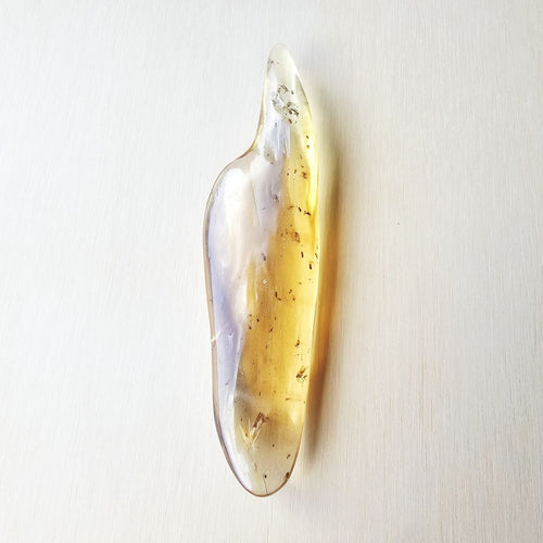 Copal Amber Specimen | Golden Light