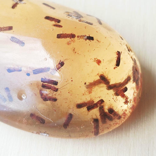 Copal Amber Specimen | Insectum Vitae