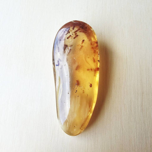 Copal Amber Specimen | Insectum Vitae