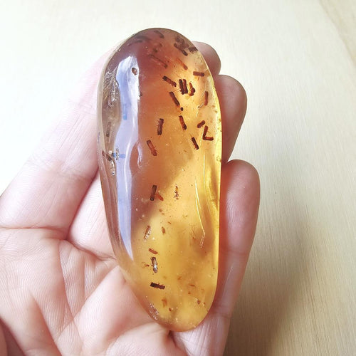 Copal Amber Specimen | Insectum Vitae