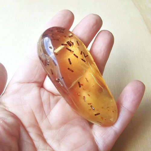 Copal Amber Specimen | Insectum Vitae