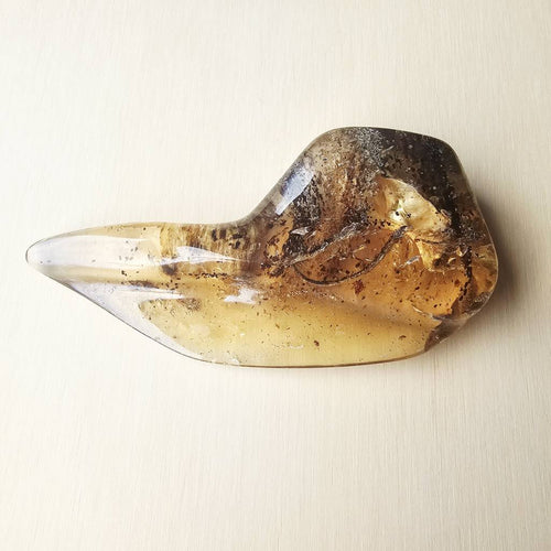 Copal Amber Specimen | Resin Archive