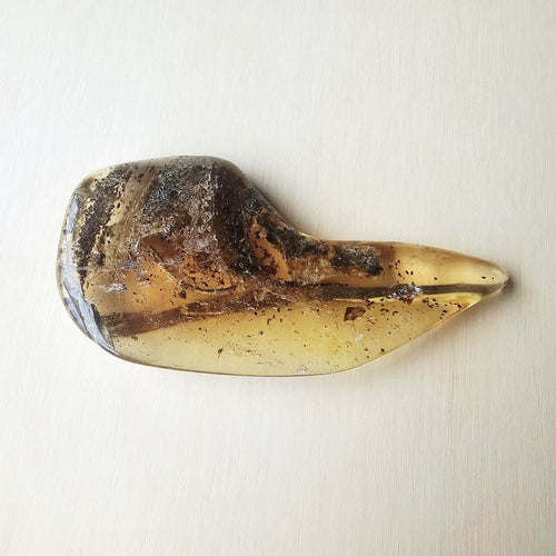 Copal Amber Specimen | Resin Archive