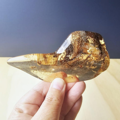 Copal Amber Specimen | Resin Archive