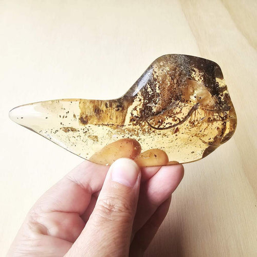 Copal Amber Specimen | Resin Archive
