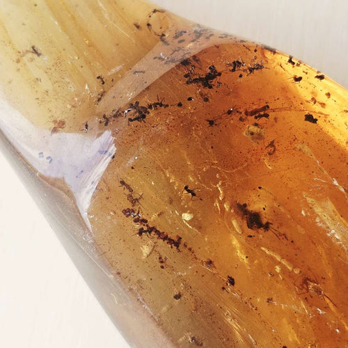 Copal Amber Specimen | Solar Relic