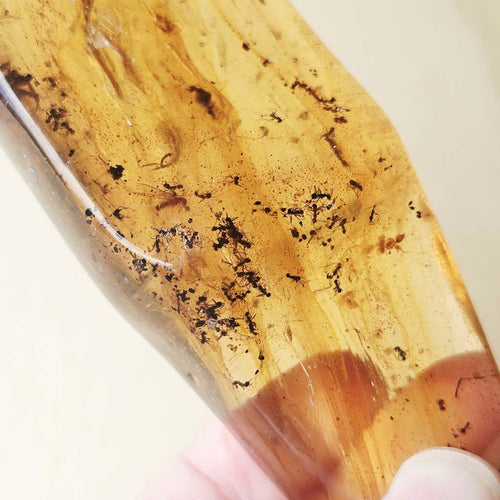 Copal Amber Specimen | Solar Relic