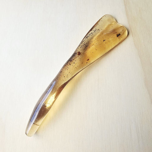 Copal Amber Specimen | Time Capsule