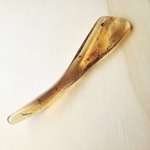 Copal Amber Specimen | Time Capsule