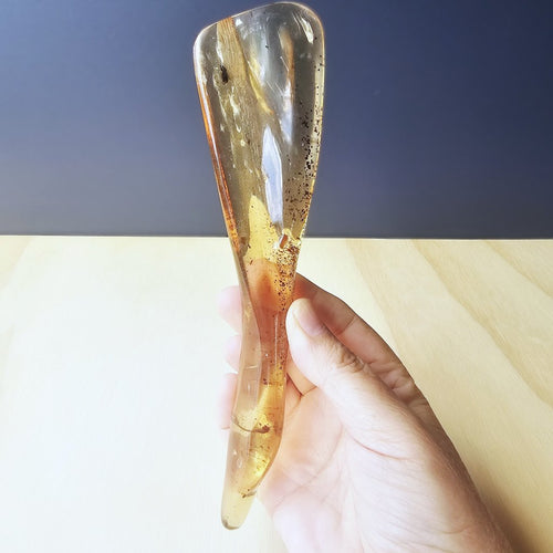 Copal Amber Specimen | Time Capsule