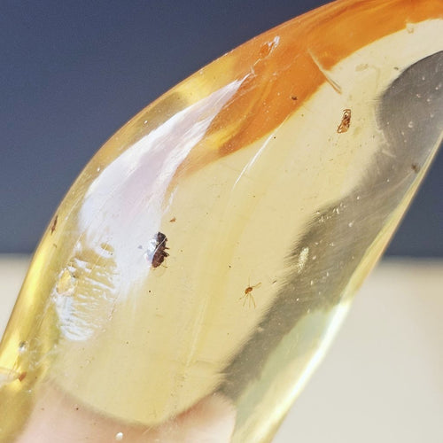 Copal Amber Specimen | Wand Of Light