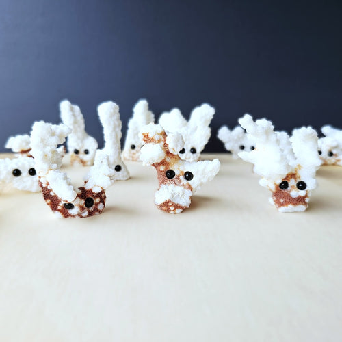Coral Carvings | Happy Ocean Guardians