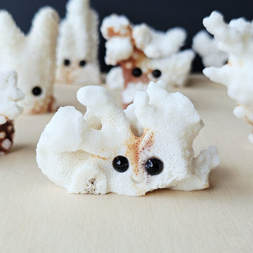 Coral Carvings | Happy Ocean Guardians