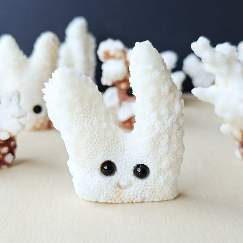 Coral Carvings | Happy Ocean Guardians