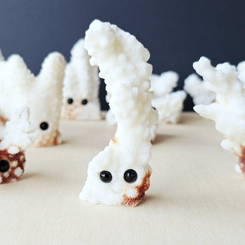 Coral Carvings | Happy Ocean Guardians