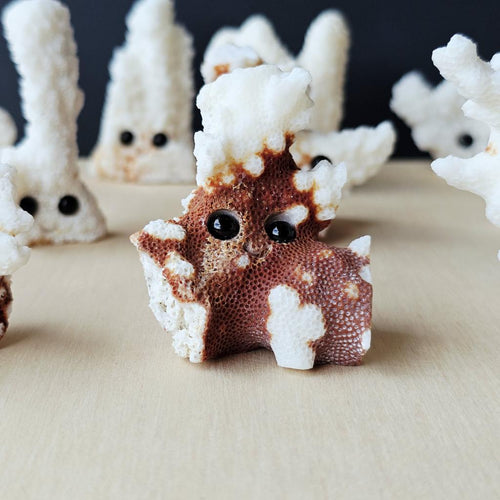 Coral Carvings | Happy Ocean Guardians