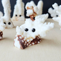 Coral Carvings | Happy Ocean Guardians