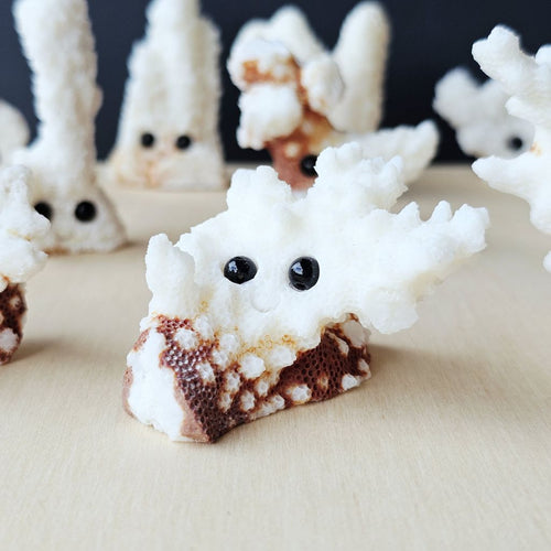 Coral Carvings | Happy Ocean Guardians