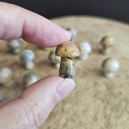 Crazy Lace Agate Mini Mushrooms