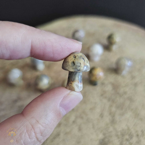 Crazy Lace Agate Mini Mushrooms