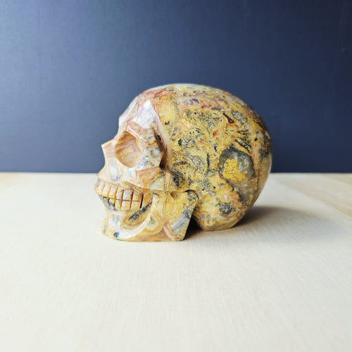Crazy Lace Agate Skull | The Happy Guardian