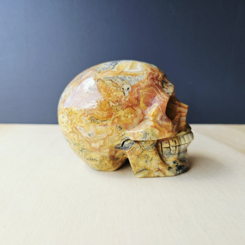 Crazy Lace Agate Skull | The Happy Guardian